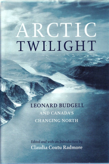 arctic twilight cover