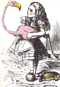 alice the flamingo coloured