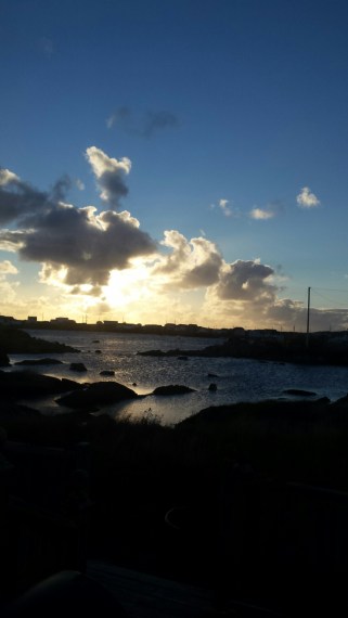 20161004_075056_resized