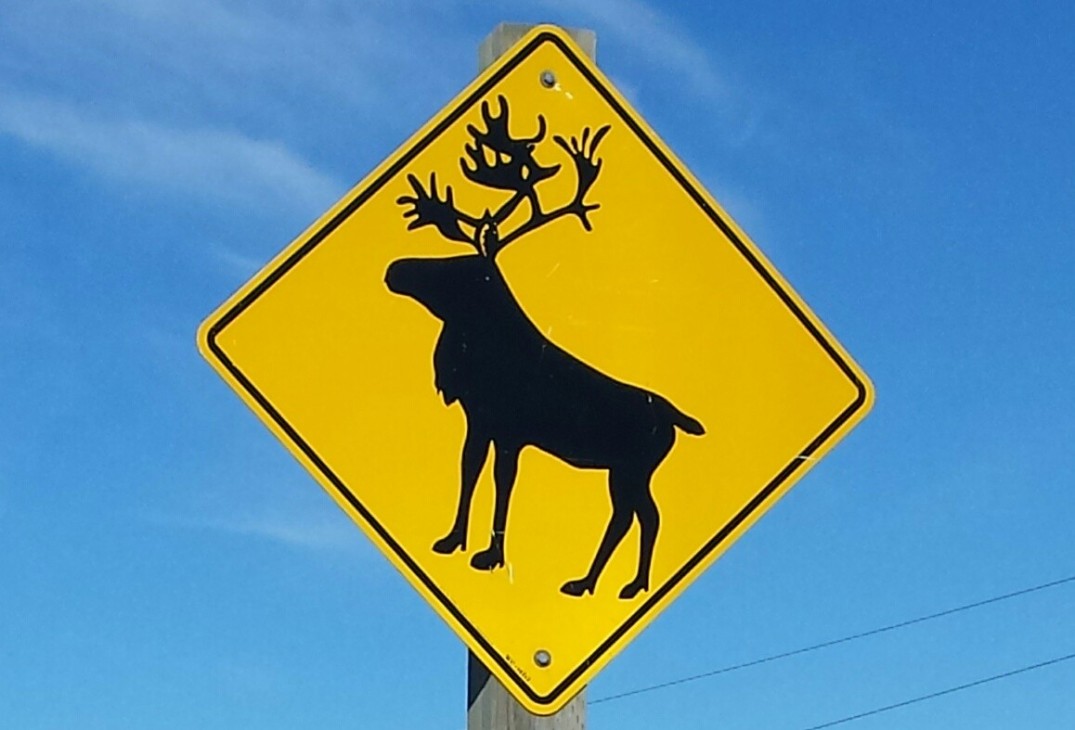 caribou sign cropped